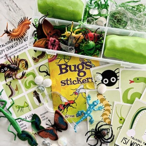 Creepy Crawler Speech Box