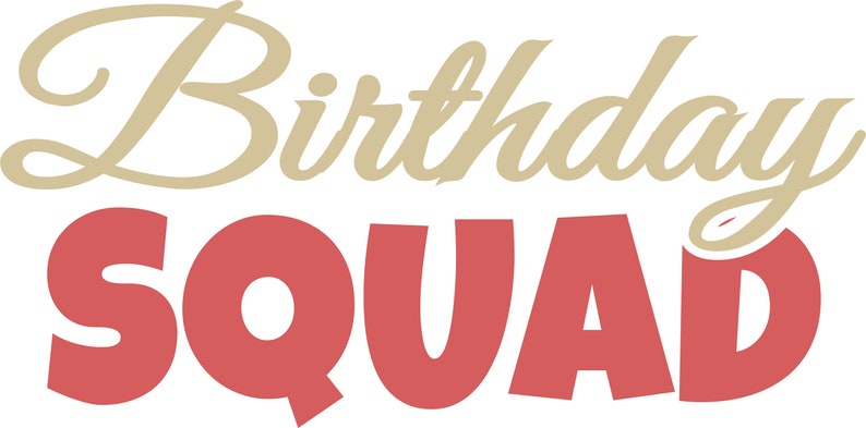 Download Birthday Squad SvG Birthday SvG Party Birthday Design DxF ...