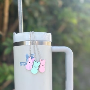 Easter bunny charms , Stanley Cup Charm, Bottle Charm, Cup Charm, Tumbler Charm, candy charms for yeti, Yeti charms, SM charms
