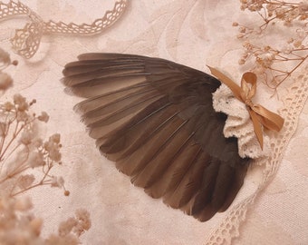 Lindo ala de pájaro conservada: rarezas animales de cabra taxidermia real flores secas conservadas encaje natural alt decoración del hogar cristal de metal
