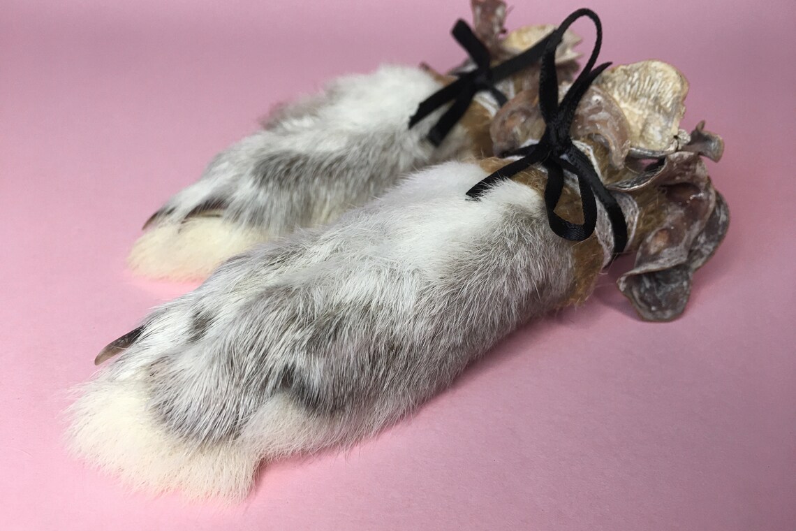 Delicadas Botas de Conejito 4 taxidermia real pata de conejo Etsy