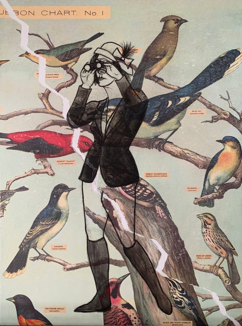 mixed media art medium Birdwatcher