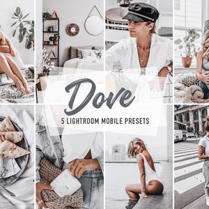 DOVE Lightroom Mobile Presets: Grey Photo Filter (DNG)
