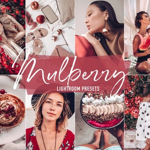 Mulberry Lightroom Presets: Mobile & Desktop, Blogger Photo Filter (DNG, XMP)