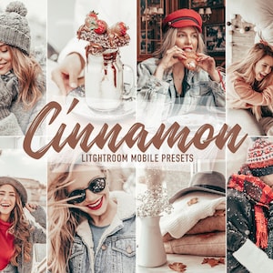 5 Mobile Lightroom Presets CINNAMON Christmas Presets, Winter Holidays Presets, Instagram Filter, Lightroom Presets