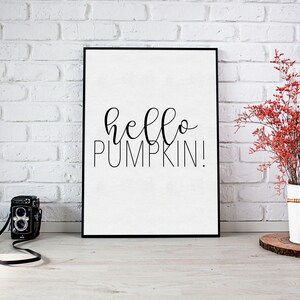 May include: A black framed print with the text "hello pumpkin!" in white cursive lettering. The print is hanging on a white brick wall with a red flower arrangement in a white vase and a vintage camera on the floor.