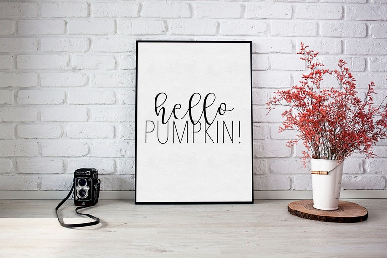 May include: A black framed print with the text "hello pumpkin!" in white cursive lettering. The print is hanging on a white brick wall with a red flower arrangement in a white vase and a vintage camera on the floor.