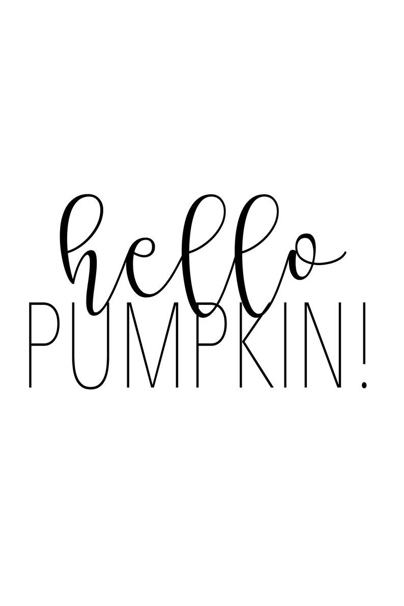 May include: Black and white calligraphy text that reads "hello pumpkin!"