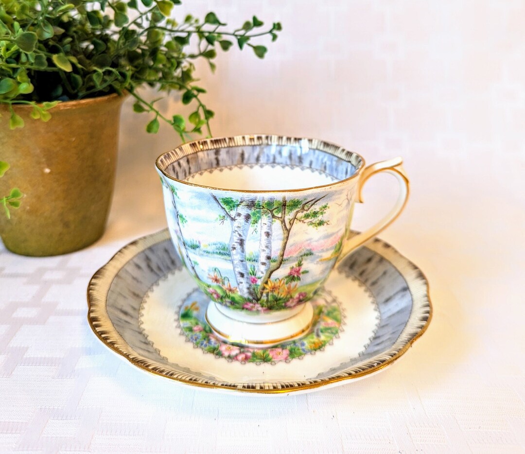 Vintage Rosina Bone China Teacup and Saucer Set Made in Etsy