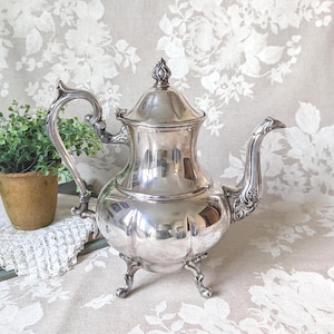 May include: A silver-colored teapot with a curved handle and spout, resting on three ornate feet. The teapot has a lid with a decorative finial. The background features a floral pattern.