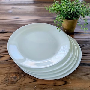 May include: A stack of five white ceramic plates with a glossy finish. The plates are round with a slightly raised edge. A small potted plant with green leaves sits in the background on a wooden surface.