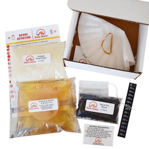 Kombucha Starter Kit WITHOUT Jar - Everything else you need to start brewing kombucha at home - kombucha scoby, starter tea, organic sugar
