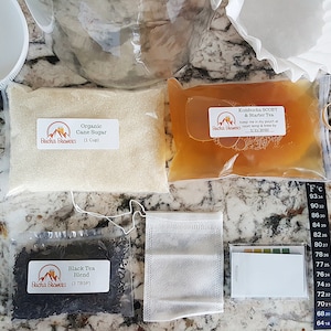 Kombucha Starter Kit- ALLES was du für die erste Portion Kombucha benötigst! Bio Kombucha Kit, Kombucha herstellen, Selbstgemachtes Kombucha, DIY