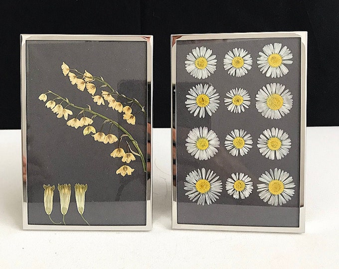 Floral Art / Pressed flowers, framed / Picture frame with pressed flowers / Lilies of the valley / Daisies