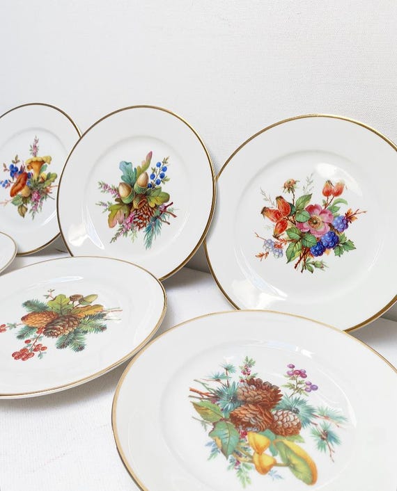 Antique Rosenthal "Aida Winifred" porcelain dessert plate, vintage fruit plate, with autumn decor, mushroom and cone motif, set of 6 plates