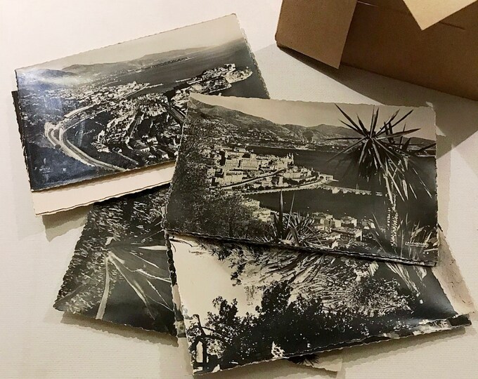 Antique Reclame "Jardin Exotique de Monaco"/ Souvenir Postcards Photo Collection, Photography / 10 Veritables Photographie / Monaco, France