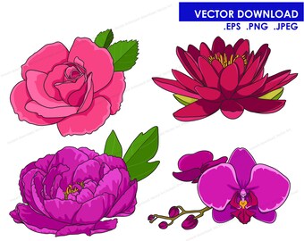 Download Free 30 Vector Bird Illustrations Vector Jpg And Png Included Etsy SVG Cut Files
