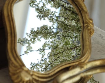 Vintage Spiegel 2er Set Wandspiegel Frankreich Barock Rokoko Stil gold Rahmen Spiegel Set Deko