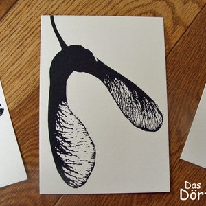 Postkarte "Ahorn" -  aus Set "Naturschönheit"