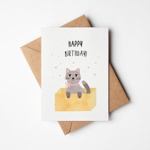 Geburtstagskarte Katze im Karton / Happy Birthday / Postkarte A6 Naturpapier / Grußkarte / Glückwunsch