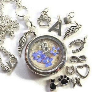 Locket necklace fill yourself animal hair necklace memory keepsake rainbow bridge pet died dog cat horse forget-me-not