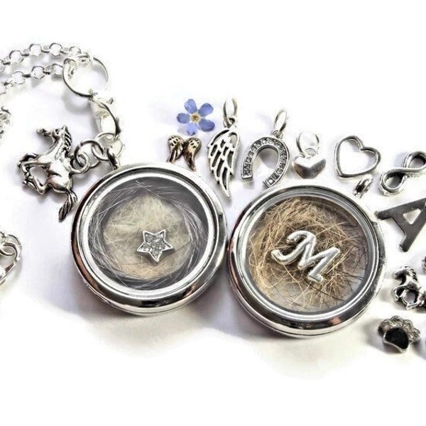 Locket Chain Animal Hair Necklace Remembrance Keepsake Rainbow Bridge Pet Died Dog Cat Horse Urn Memorial Ashes Jewelry DIY