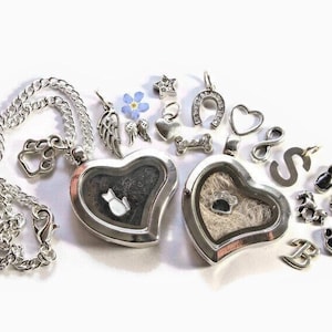 Herz Medaillon Kette Tierhaare Halskette Erinnerung Andenken Regenbogenbrücke Haustier gestorben Hund Katze Pferd Urne Memorial Ascheschmuck