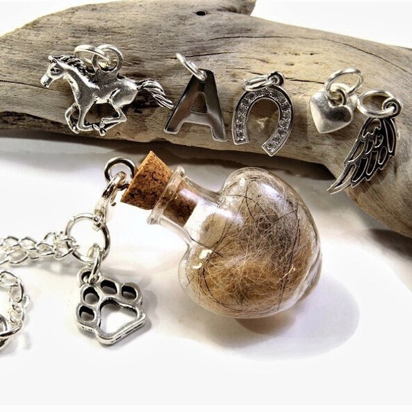 Animal hair glass bottle heart necklace for self-filling different pendant motifs glass bottle memory souvenir deceased animal dog