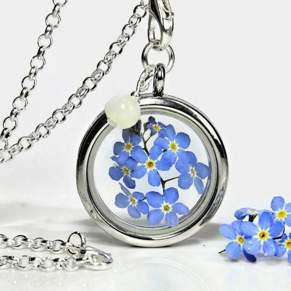 Véritable myosotis collier médaillon vraies fleurs fleur bijoux bleu médaillon collier fleurs séchées adieu cadeau fleur collier