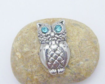 Floating Charms Owl (2) Charm