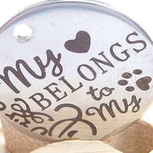 10 pendants 20 mm stainless steel tags round engraved saying dog cat paws friends sayings love jewelry making animal jewelry tag label