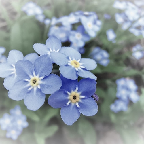 伝統衣装チャームペンダント オクトーバーフェスト DIRNDLQUEEN - Etsy