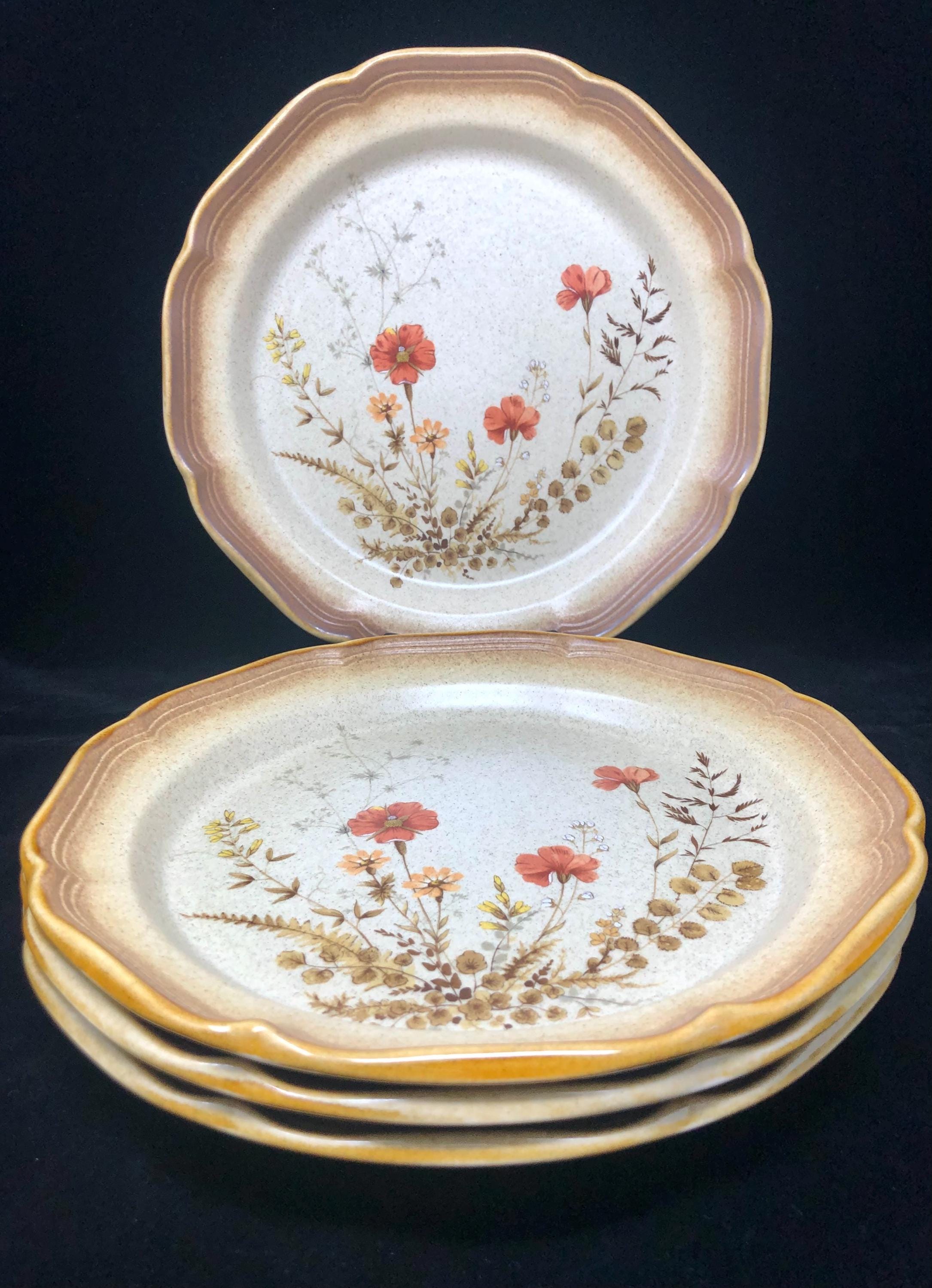 Mikasa Whole Wheat Jardiniere DINNER PLATES Set of Whole Wheat