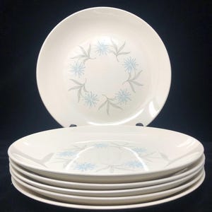 May include: A set of six off-white ceramic plates. Each plate features a floral design in a ring around the center, with light blue flowers and gray leaves. The plates are stacked, with one plate displayed above.