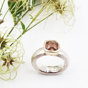Silver ring with garnet in gold setting
