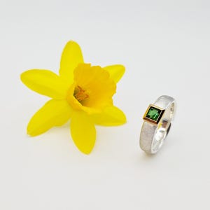 Ring mit Turmalin in Goldfassung