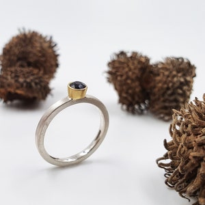 Silver ring with garnet in gold setting