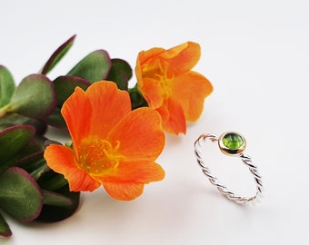 Silver ring with tourmaline in gold setting