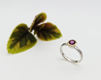May include: A silver ring with a gold bezel holding a round, purple gemstone. The ring is set against a white background with a blurred green and yellow leaf. A simple, elegant piece of jewelry.
