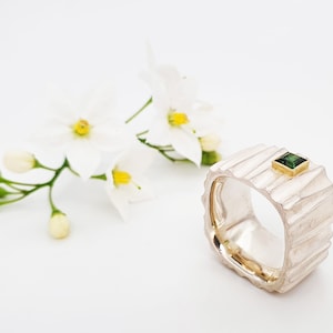 Silver ring with tourmaline in gold setting