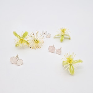 Silver ear studs