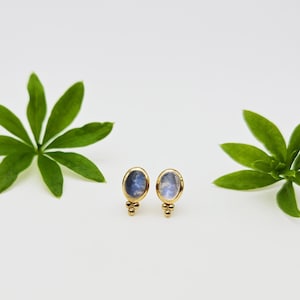 Goldohrstecker mit Mondstein