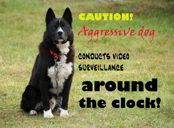 FUNNY DOG SIGN Decal Beware of Dog Caution Angry Dog Custom - Etsy FUNNY DOG SIGN Decal Beware of Dog Caution Angry Dog Custom - Etsy