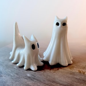Ghost Cat Set
