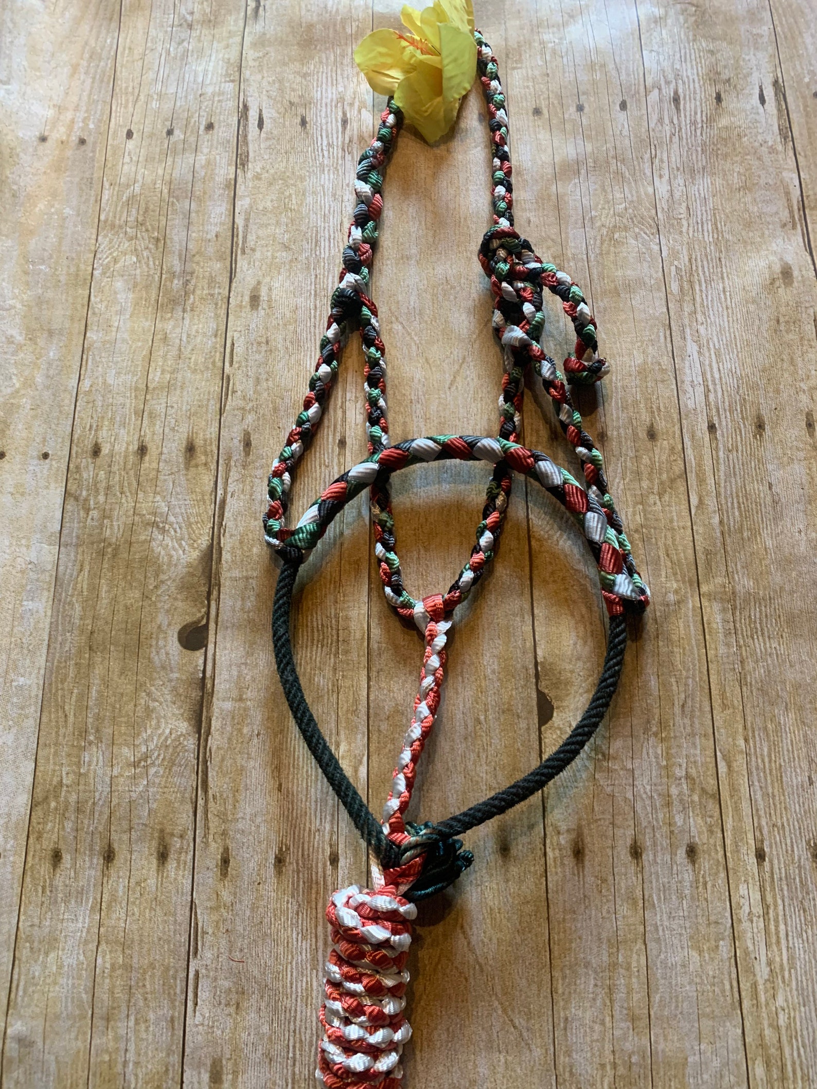 Two or more custom mule tape halter Etsy