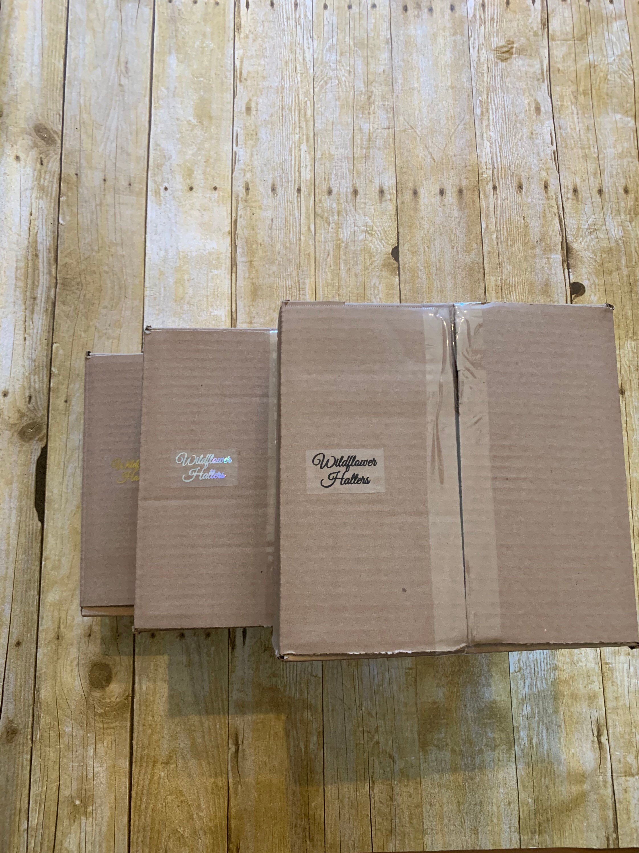 Horse mystery box Etsy