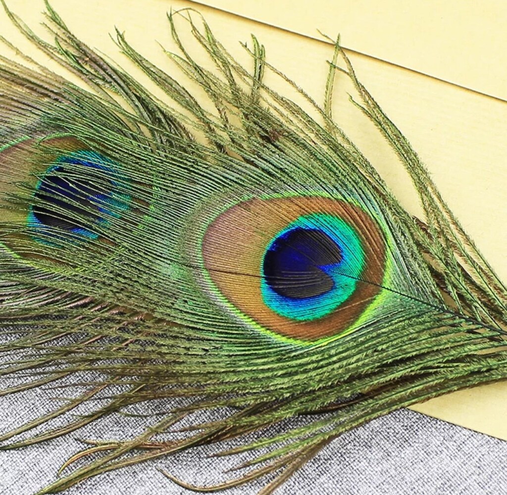 Set Calligrafia Vintage Con Piuma Di Pavone – Penna A Immersione, Calamaio Inchiostro E Pennini Di Ricambio