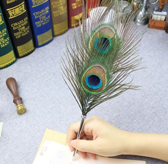 PATIKIL 21cm/8 Penna a Sfera con Piuma, 2pz Penna d'Oca