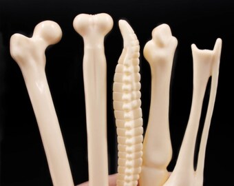 5pcs Creative Bone Shape Ballpoint Pen, Medical Student Gift, Medical Pen, Writing Pen, Bone Ballpoint Pen, School, Office Supplies