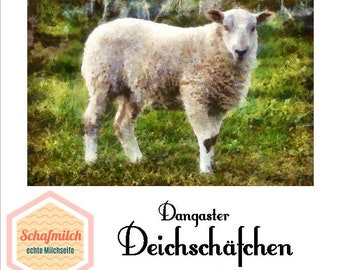 Natural Soap | Soap | Dike sheep | Natural Soap | Soap | Palm Oil Free | Milk Soap | Sheep's milk| Dangast| North Sea| soleseife | Hand washing 104